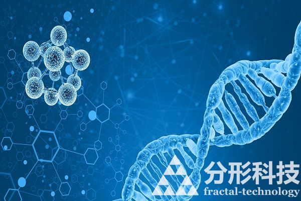 醫(yī)院網(wǎng)站建設(shè)：打造醫(yī)院與患者的無(wú)縫連接